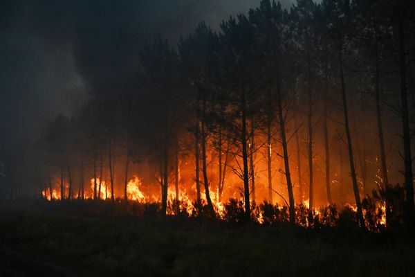 Нуњез је рекао да у гашењу ватре учествује 18 ватрогасних летелица и потврдио да ће поново бити ангажован и авион А400М, војни транспортни авион прилагођен за борбу против пожара. - Sputnik Србија