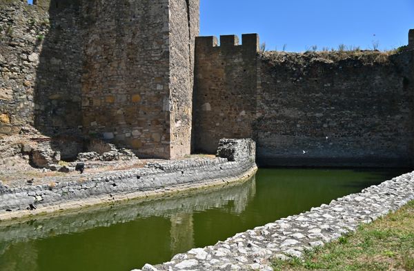 Radovi na izgradnji tvrđave, uporedo sa opremanjem narodne vojske iziskivali su znatna novčana sredsta, te je despot pribegao nepopularnim merama: uvećanju raznovrsnih dažbina i povećanju neposrednog danka, koji je udvostručen, a po nekim izvorima i utrostručen - Sputnik Srbija