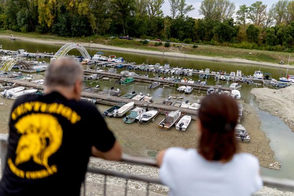Marina sa isušenim rečnim koritom u rukavcu Dunava, dok nivo vode opada usled dugotrajnog toplog i suvog vremena Srbiji. - Sputnik Srbija