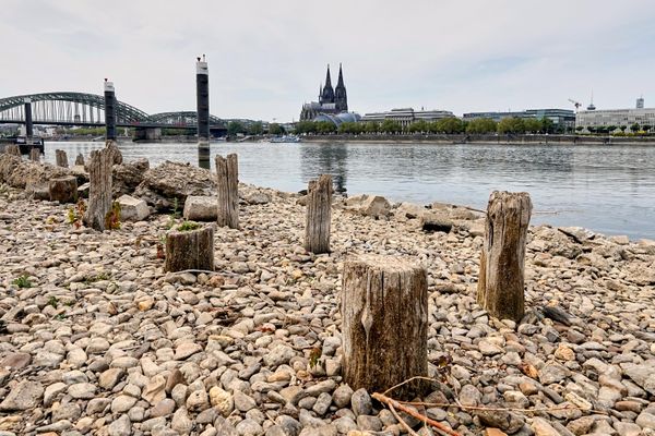 Usled istorijski niskog vodostaja reke Rajne tokom toplotnog talasa i dugotrajne suše ostaci Patonovog mosta, podignutog nakon Drugog svetskog rata, vidljivi su naspram katedrale u Kelnu. - Sputnik Srbija