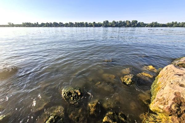 Dugotrajni toplotni talas i izostanak padavina spustili su vodostaj Dunava na rekordno nizak novo. Juče, 5 avgusta 2026 u 14 časova, vodostaj Dunava izmeren kod merne stanice Bezdan iznosio je 167 cm - Sputnik Srbija