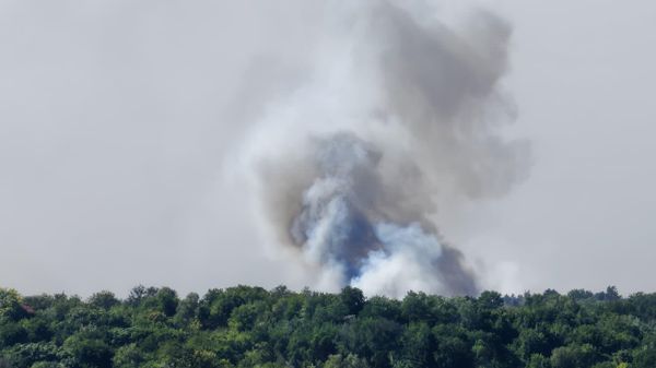 Požar u Deliblatskoj peščari - Sputnik Srbija