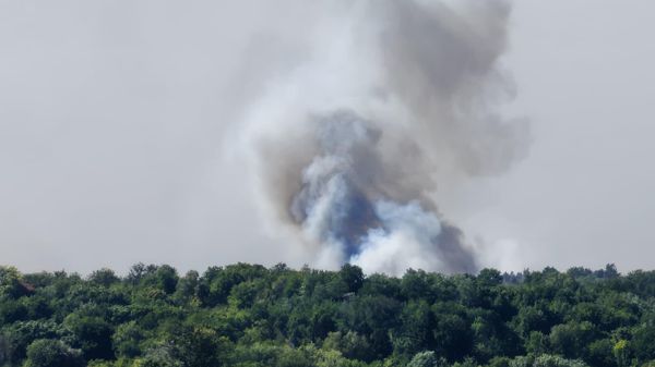 Deliblatska peščara požar - Sputnik Srbija