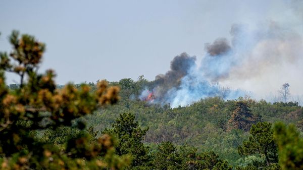 Пожар у Делиблатској пешчари - Sputnik Србија