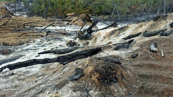 Сува планина и даље гори, јак ветар разбуктао пожар у Делиблатској пешчари