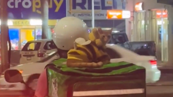  - Sputnik Србија