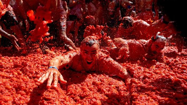 Učastniki festivalя La Tomatina v Bunьole, Ispaniя - Sputnik Srbija