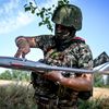  - Sputnik Србија