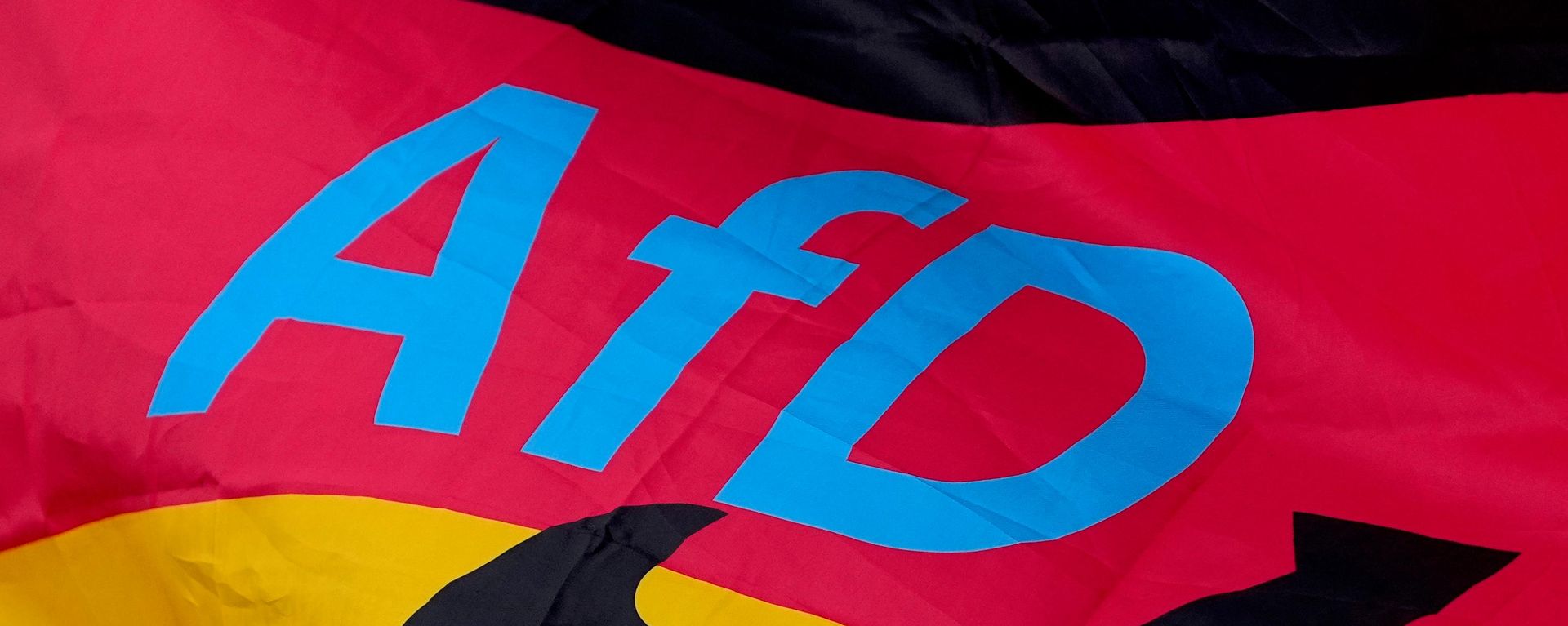 Logo stranke Alternativa za Nemačku (AfD) - Sputnik Srbija, 1920, 07.09.2026