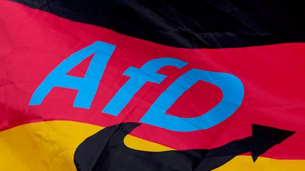 Logo stranke Alternativa za Nemačku (AfD) - Sputnik Srbija