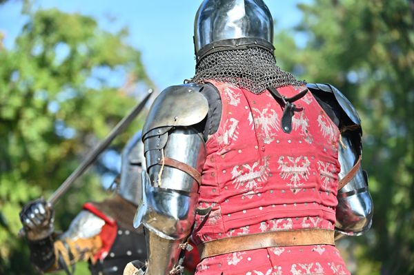 Tokom turnira, nacionalni timovi ili klubovi preko oklopa nose heraldički tabard- ogrtač koji na zadnjoj i prednjoj ima izvezen ili naslikan grb, pa tako tabard ovog viteza krasi dinastički simbol Nemanjića - crveni dvoglavi orao - Sputnik Srbija