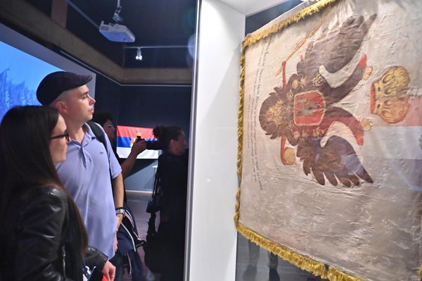 На предњој страни заставе налази се двоглави црни орао на жутој подлози.У самом центру заставе је црвени штит са белим крстом и четири бела оцила изнад кога се налази круна. Испод грба налази се ћирилични натпис на српском језику: Застава Ц(арског).К(краљевског). Воиводства Сербског 1848 - Sputnik Србија