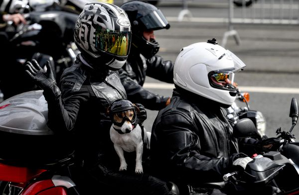 Učesnici 15. Moskovskog moto-festivala. Učesnici 15. Moskovskog moto-festivala. - Sputnik Srbija