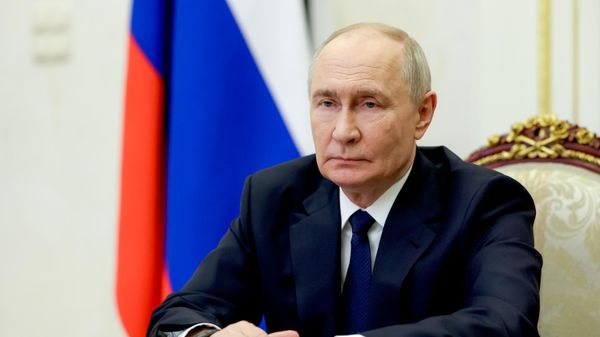 Predsednik Rusije Vladimir Putin  - Sputnik Srbija