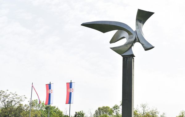 Kako su se streljanja odvijala masovno i kontinuirano od 1941. do 1943. godine, okupatoru su povremeno u egzekucijama pomagali i vojnici Srpske državne straže (oružane formacije Vlade narodnog spasa Milana Nedića) - Sputnik Srbija