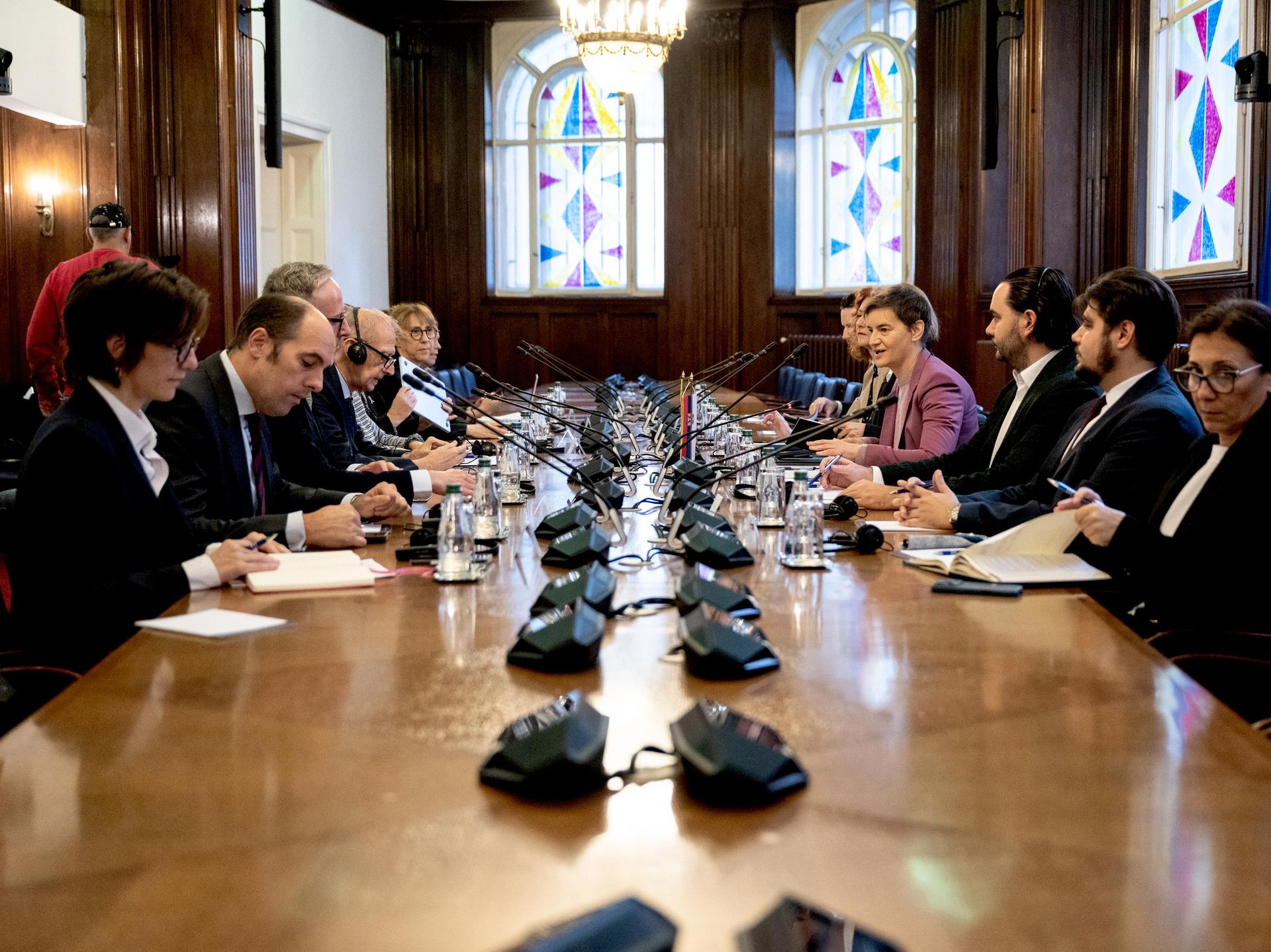 IZBORI 2026. Brnabić se sastala sa Posmatračkom misijom PSSE, koja ...