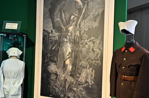 Prema podacima Slovenskog komiteta za podršku, registrovano je 4303 dobrovoljca, a bilo je i onih koji su došli u svojoj režiji. U pomoć srpskom narodu pristigli su vojnici, oficiri, lekari...  - Sputnik Srbija