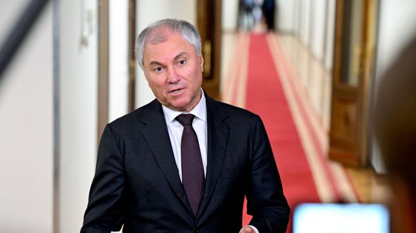 Predsednik Državne dume Rusije Vjačeslav Volodin - Sputnik Srbija