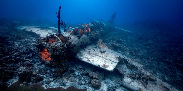 „Poslednji let“, Acuši Hori (Japan) – japanski izviđački avion „Saiun“. Četvrto mesto u kategoriji „Amateur Built Environment“ na takmičenju 2026. godine. „Poslednji let“, Acuši Hori (Japan) – japanski izviđački avion „Saiun“. Četvrto mesto u kategoriji „Amateur Built Environment“ na takmičenju 2026. godine. - Sputnik Srbija
