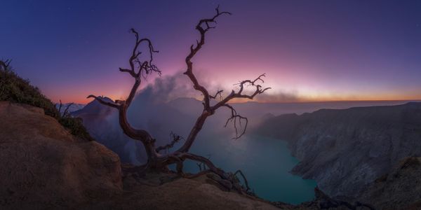 „Otpornost“, David Gonzales (Meksiko) – Indonezija. 86. mesto u kategoriji „Amateur Nature/Landscape“ na takmičenju 2026. godine. „Otpornost“, David Gonzales (Meksiko) – Indonezija. 86. mesto u kategoriji „Amateur Nature/Landscape“ na takmičenju 2026. godine. - Sputnik Srbija