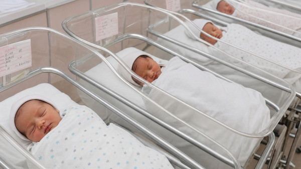 Bebe u porodilištu - Sputnik Srbija