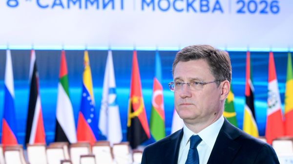 Вице-премијер Русије Александар Новак  - Sputnik Србија