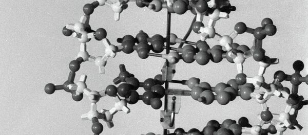 Model molekula DNK - Sputnik Srbija