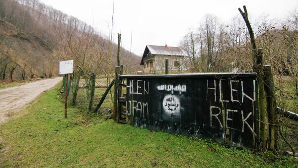 Grafit Islamske države u Bosni - Sputnik Srbija