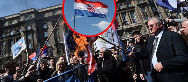 Vojislav Šešelj pali zastavu SAD - Sputnik Srbija