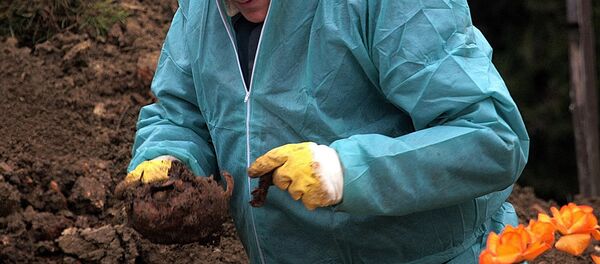 Ексхумација жртава рата у Хрватској - Sputnik Србија