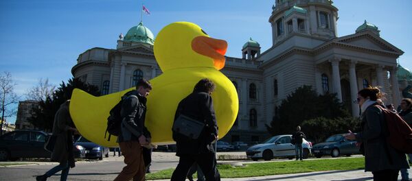 Патка у Народној скупштини - акција иницијативе НЕ да (ви) мо Београд поводом лекс специјалиса за Београд на води Патка у Народној скупштини - акција иницијативе НЕ да (ви) мо Београд поводом лекс специјалиса за Београд на води - Sputnik Србија