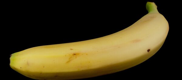 Банана Банана - Sputnik Србија