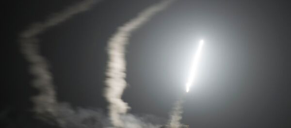 „Ja verujem da je Evropa na ivici da istupi iz NATO-a sledeće godine, pre svega Nemačka i Francuska“. - Sputnik Srbija