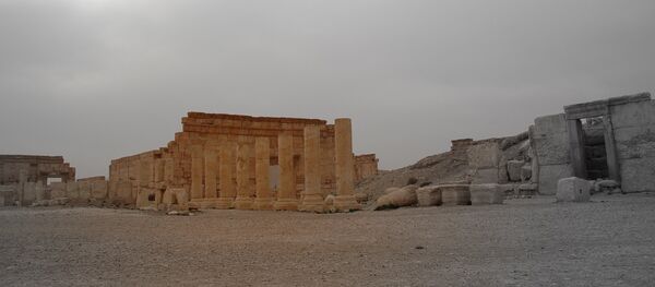 Палмира Палмира - Sputnik Србија