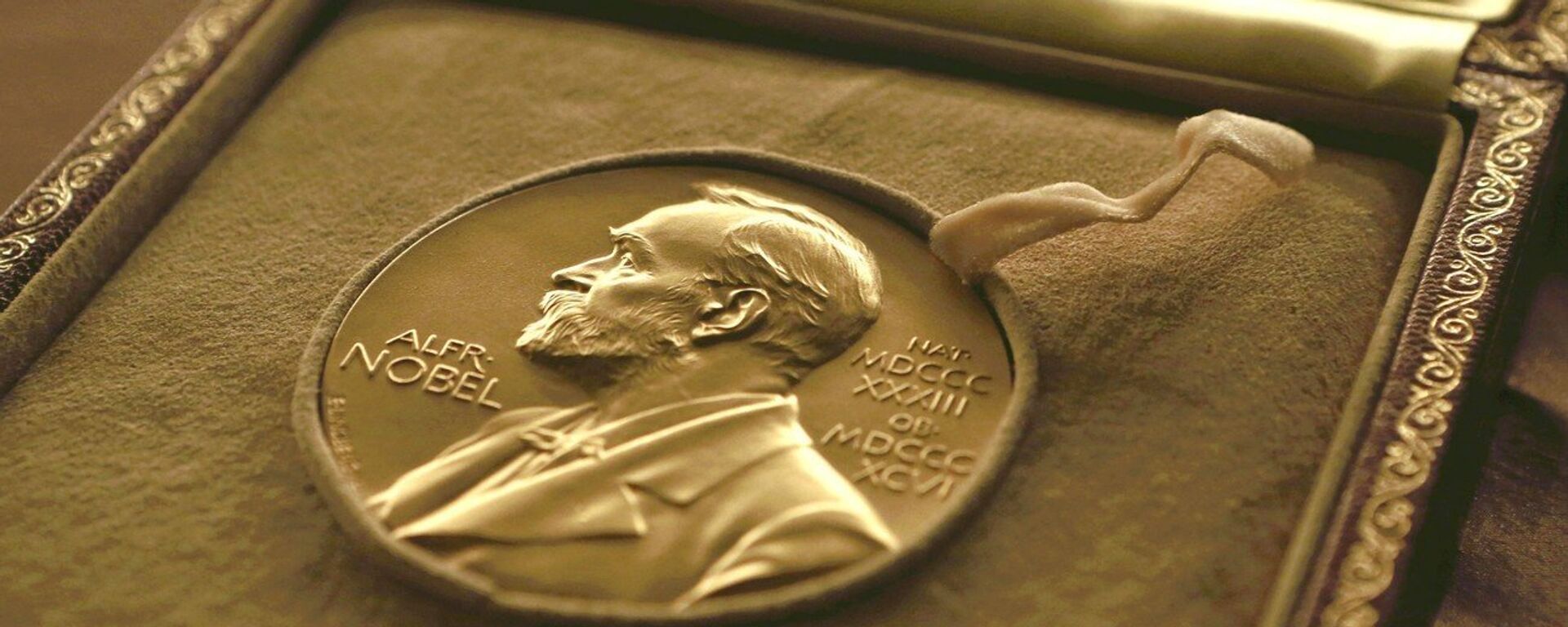 Нобелова награда - Sputnik Србија, 1920, 25.10.2022
