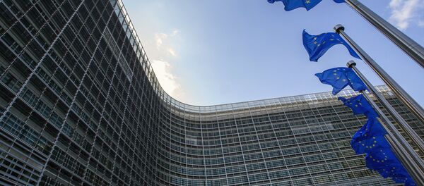 Заставе испред седишта ЕУ у Бриселу - Sputnik Србија