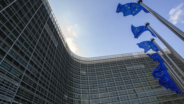 Заставе испред седишта ЕУ у Бриселу - Sputnik Србија