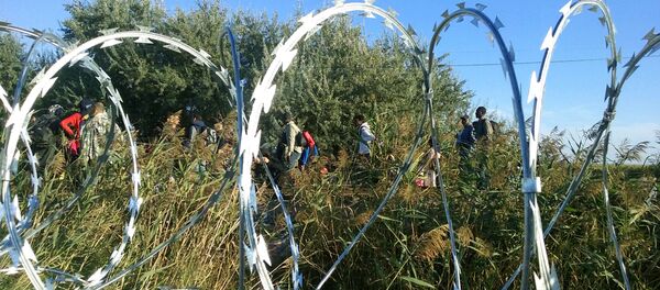 Избеглице улазе у Мађарску споредним путевима - Sputnik Србија