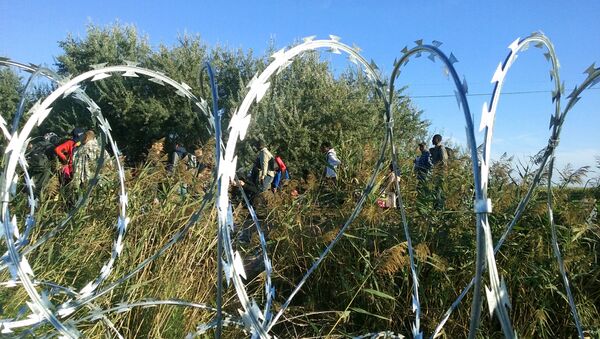 Избеглице улазе у Мађарску споредним путевима - Sputnik Србија