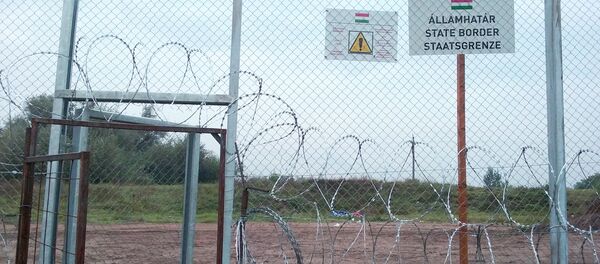 Novi zid i kapija na Mađarskoj granici - Sputnik Srbija