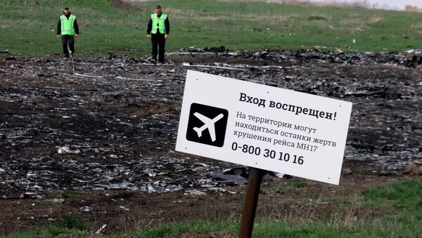 Mesto pada aviona Malezija erlajnza (let MH17) u Ukrajini. - Sputnik Srbija