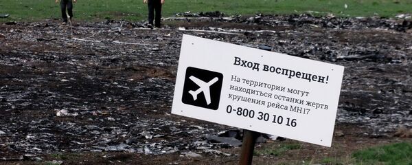 Место пада авиона Малезија ерлајнза (лет MH17) у Украјини. - Sputnik Србија