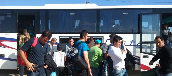 Izbeligice u kampu Kanjiža Izbeligice u kampu Kanjiža - Sputnik Srbija