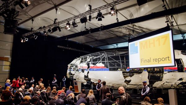 Холандски извештај о паду авиона МХ17 - Sputnik Србија