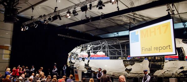 Холандски извештај о паду авиона МХ17 - Sputnik Србија