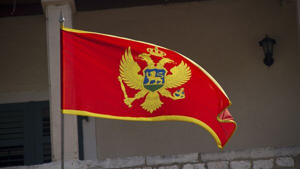 Zastava Crne Gore - Sputnik Srbija