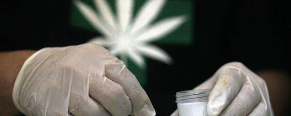 Марихуана - лечење оболелих од рака Марихуана - лечење оболелих од рака - Sputnik Србија