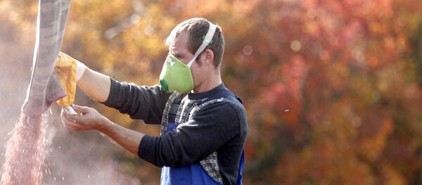 Пољопривреда, пшеница - Sputnik Србија