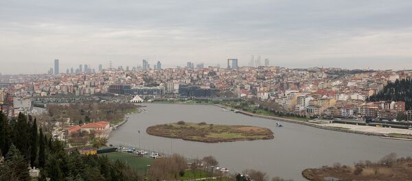 Istanbul - Sputnik Srbija