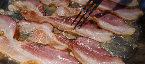 Сланина Сланина - Sputnik Србија